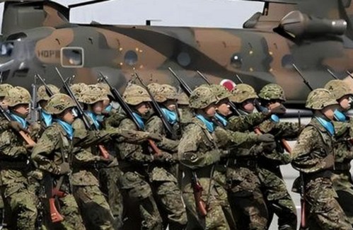 揭秘麻豆视频在线观看官方版：青岛市最新资源动态