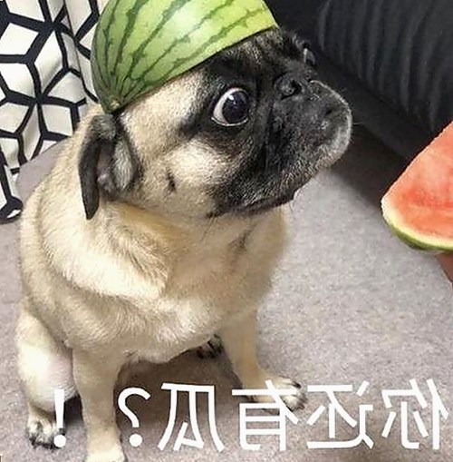 《乱公伦媳》欧美免费官方版：最新资源与观看指南