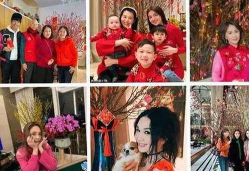 《乱公伦媳》欧美免费官方版：最新资源与观看指南