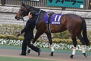 揭秘免费大片官方版免费版：无限畅享影视新体验