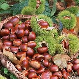 全面解析：7777免费版在视频资源获取中的作用与现状