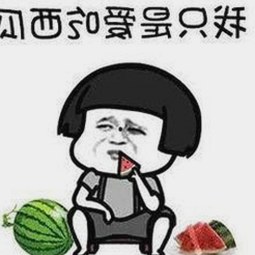 全面解析91网站安装包下载：获取官方版本的最佳选择