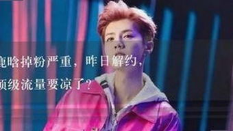 91n官方版免费版现已推出，内容丰富体验升级