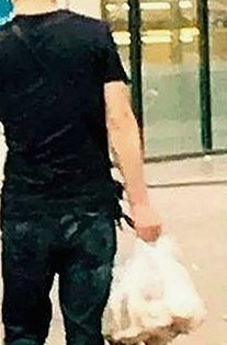 爱爱网官方版最新动态：内容丰富，体验升级