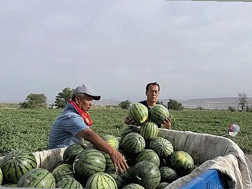 最新动态：91🍆🍑🔞❌❌❌一起草wwwcom17安装包下载及相关软件介绍