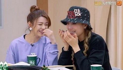 关于菠萝视频官方版下载的最新动态与介绍