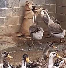 揭秘娱乐圈幕后故事：免费调色60分钟视频官方版下载带你了解视觉体验的变革