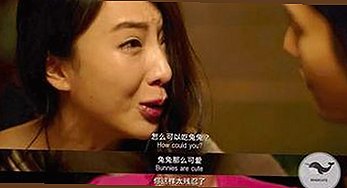 最新91网站免费版：畅享高清资源与多样内容新体验