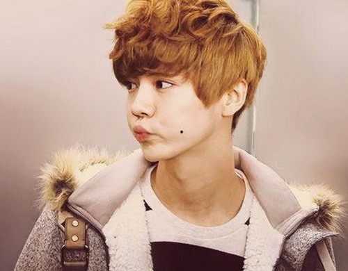 最新91网站免费版：畅享高清资源与多样内容新体验