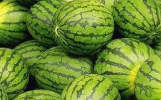 黄色91安装包下载：轻松获取影视资源的实用指南