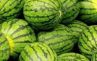 免费观看45分钟高清电视动漫官方版正版下载：畅享优质内容新体验