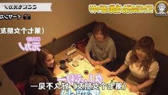 全面解析：91网站免费版下载与多平台资源选择