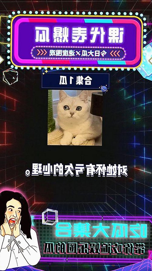 探索最新内容：豆花视频官方版带您了解江门市的热门资源