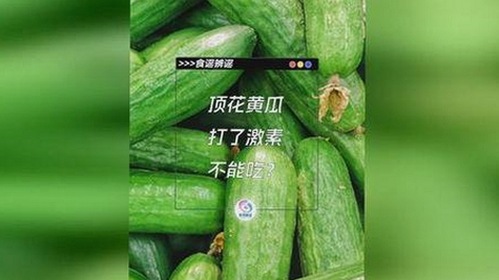 轻松掌握免费91最新版下载：享受海量影视资源新体验