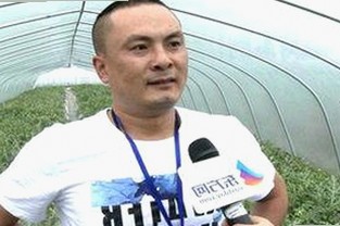 揭秘娱乐圈背后故事：小🐔🐔伸进🈲🔞🔞官方版引发关注