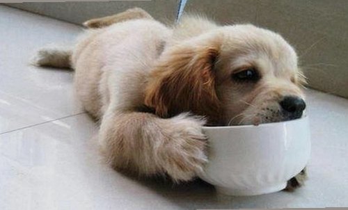 探索动感小站在线官方版：明星娱乐体验新趋势