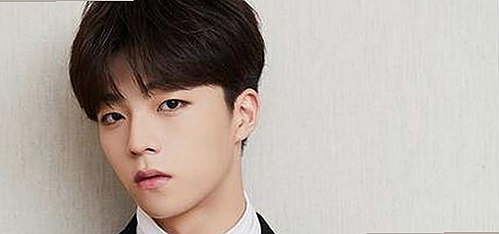 全面解析香蕉视频官方版下载及相关平台的现状