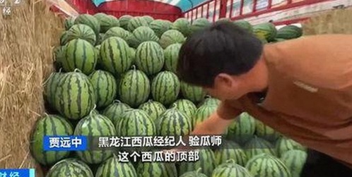 深入了解91🍆🍑🔞❌❌❌一起草wwwcom91免费版：网络内容的变化与发展