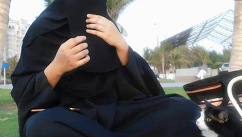 解析91漫画官方版：现状、争议与未来走向