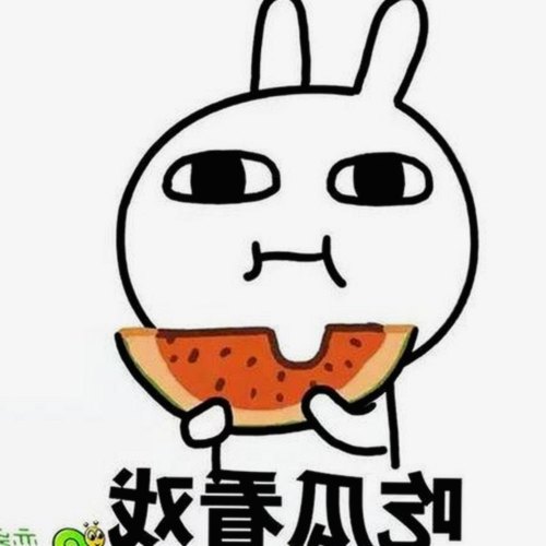 禁漫天堂下载官方版：最新版本现已上线，满足用户多样需求