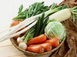 从娱乐圈到家庭：菠萝TV免费版带来的新视角