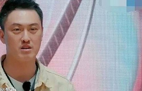 红桃影院免费观看电视剧电视剧高清：从娱乐圈到家庭的全景追踪