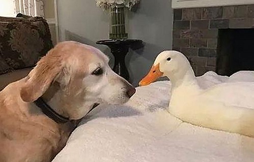 最新爆料：🔞🍌进去里❌❌❌17c视频官方版正版下载现已上线