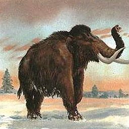 揭秘爱液官方winall：全面解析背后技术与资源优势