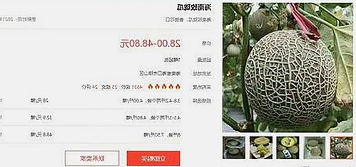 91 一起草wwwcom91官方版下载：探秘驻马店市的最新动态