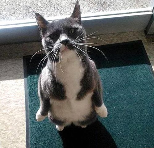 爱液视频安装包下载：全面解析与资源推荐