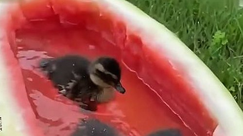 最新消息：www.色😍萝网站17c官方版下载带来全新体验