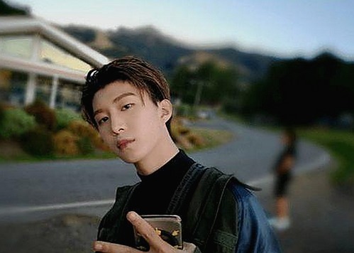 深入了解茄子视频官方版下载及相关应用推荐