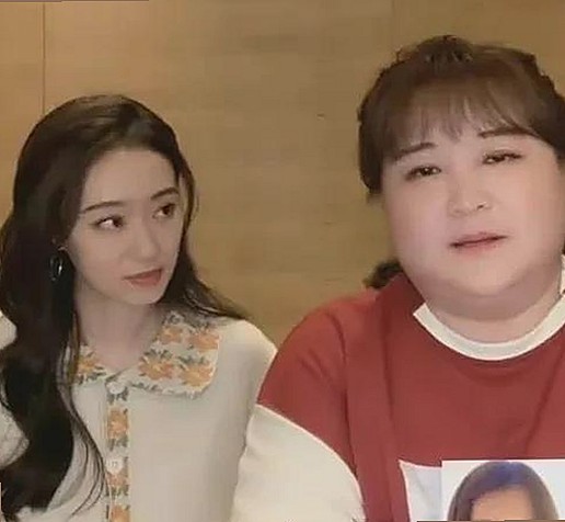 母をたずねて三千里官方版：经典动画重现与在线观看指南