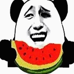 探索最新的手机看片官方版：内容丰富、资源多样