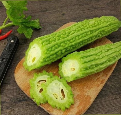 高清乱码🔞❌♋波萝视频最新版下载：最新资源与平台介绍