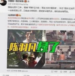 黄色软件下载官方版下载免费版：揭秘背后繁华与隐秘的关系