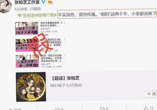 从风云变幻到稳定发展：菠萝视频官方版下载的现状与前景
