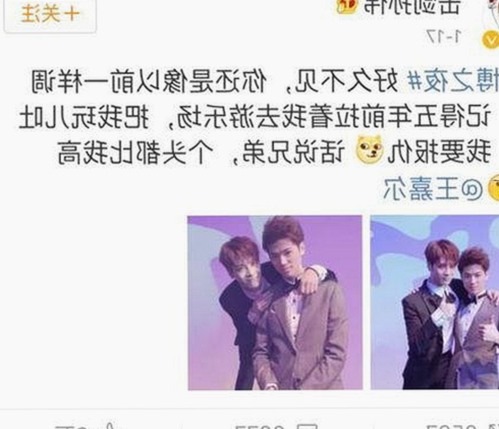 揭秘高清乱码免91官方版：娱乐圈背后的小秘密