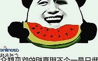 深入解析：91漫画官方版的最新动态与趣闻