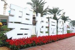 关于91禁🍆🍑🔞❌❌❌看片17c免费版官方版的全面解析