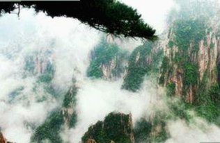 刘宇宁新动态引关注：小巧🐥伸女生🍑🍑里姿势官方版背后揭秘