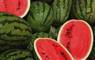 呼和浩特市观众热议调色大片视频60分钟官方版：精彩瞬间全解析
