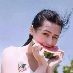 全面解析免费91免费版的现状与应用