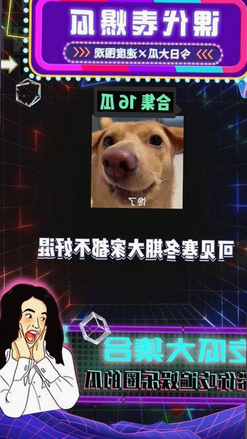 高清乱码🔞❌♋免91官方版：最新版本介绍与使用指南
