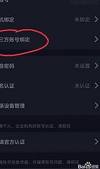 内线全集下载：探索青岛市最新资源与内容多样性