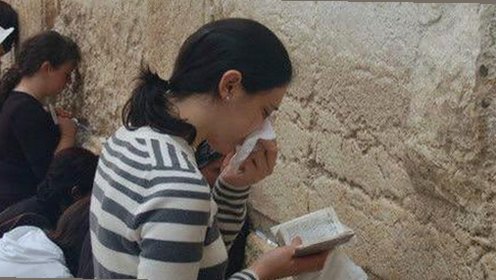 关于91香蕉视频安装包下载的最新动态与指南