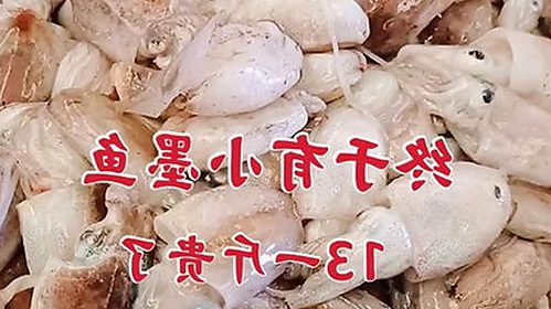 A片最新版下载：探索最新资源与在线观看指南