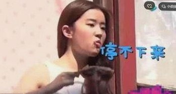 桃花视频安装包下载：获取高清影视资源的便捷指南