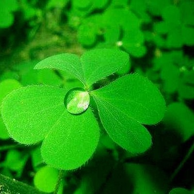 已满十八免费高清完整版电视剧官方版下载：探索最新影视资源与相关应用