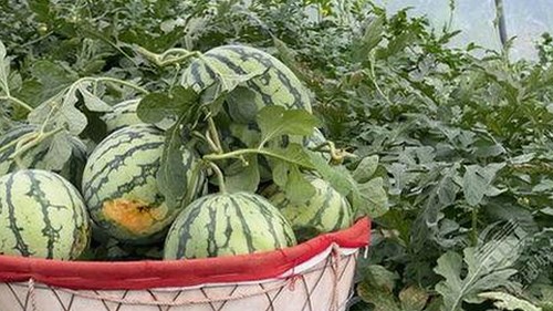 最新：免费调色60分钟视频官方版免费版现已全面上线